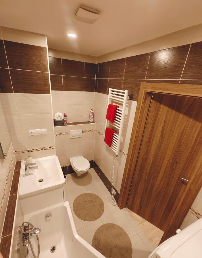 Apartman V Centru การ์โลวีวารี ภายนอก รูปภาพ